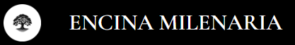 LogoEncina
